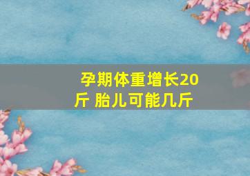 孕期体重增长20斤 胎儿可能几斤